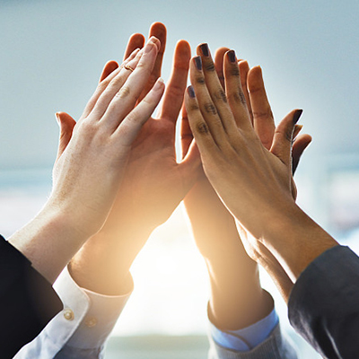 Financial License Application Financial License ApplicationF